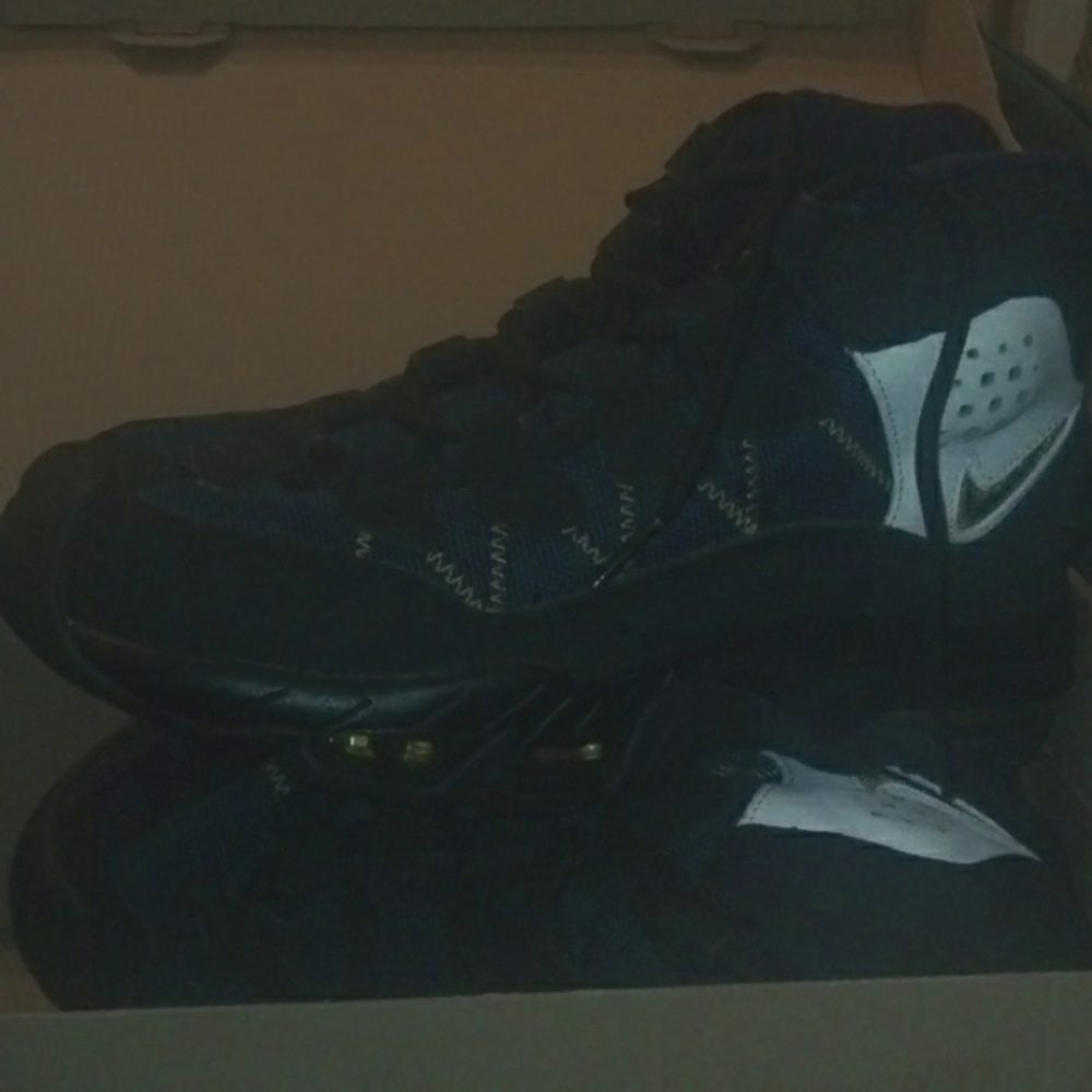 Air Trainer Max Sold out